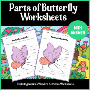 Butterfly-Anatomy-with-Engaging-Printable-Worksheet.