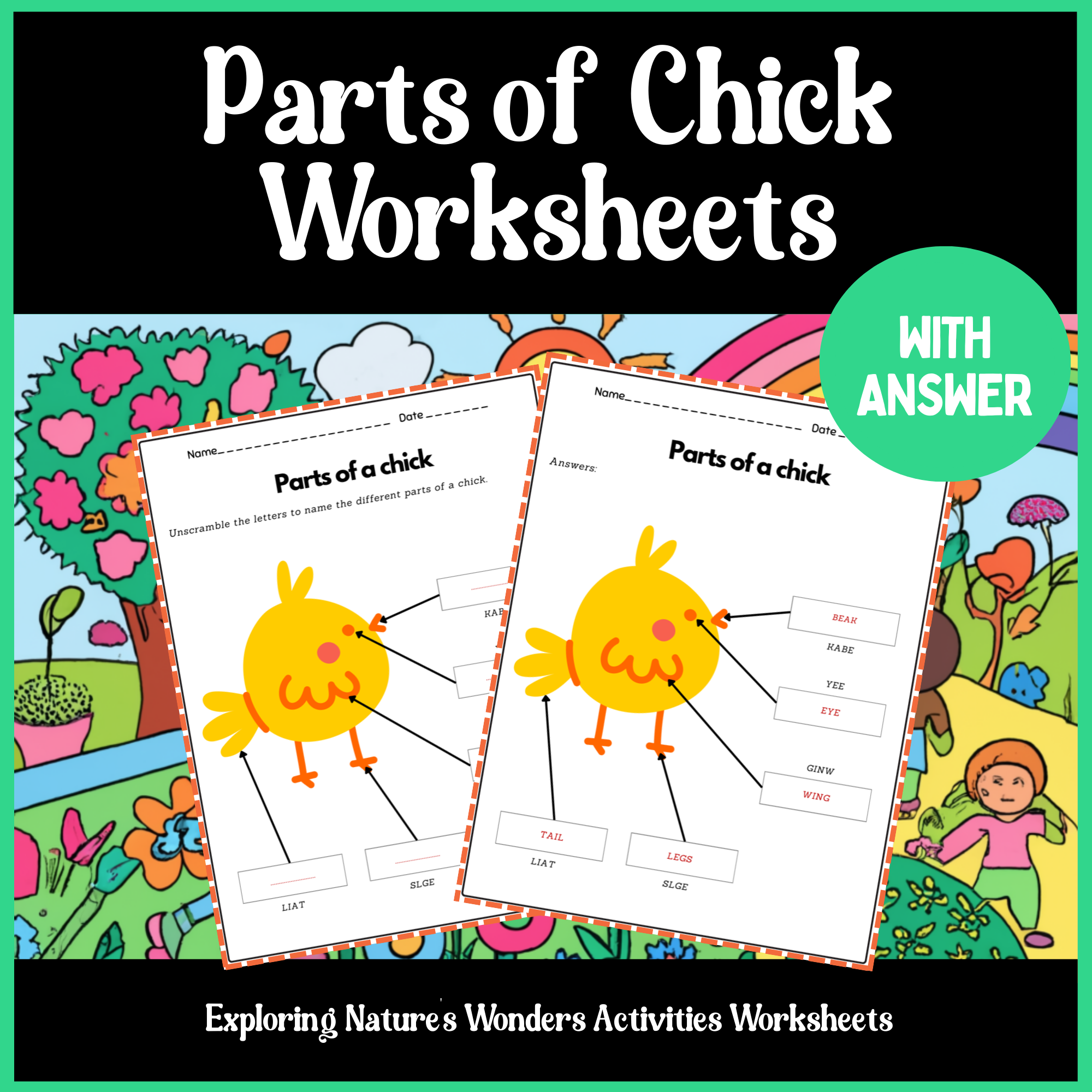 Chick-Anatomy-with-Engaging-Printable-Worksheet Chick-Anatomy-with-Engaging-Printable-Worksheet