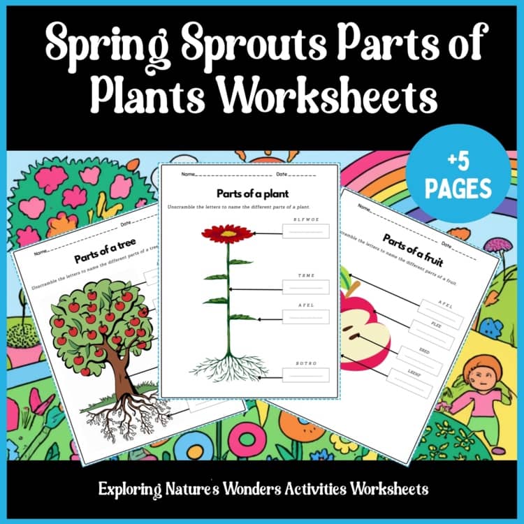 Spring-Sprouts-Parts-of-Plants-Worksheets